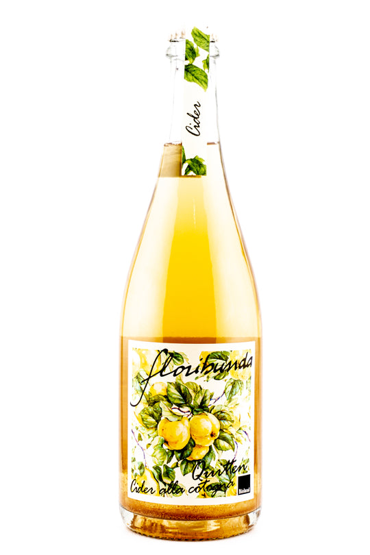 Floribunda Cider alla Cotagna Quitten NV