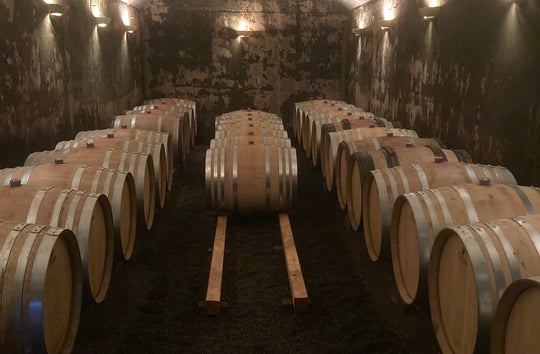 Thomas Dundee Hills Pinot Noir 2023