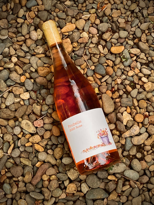 Sivilli Wine Co. Willamette Valley Pinot Noir Rose Poubelle 2025