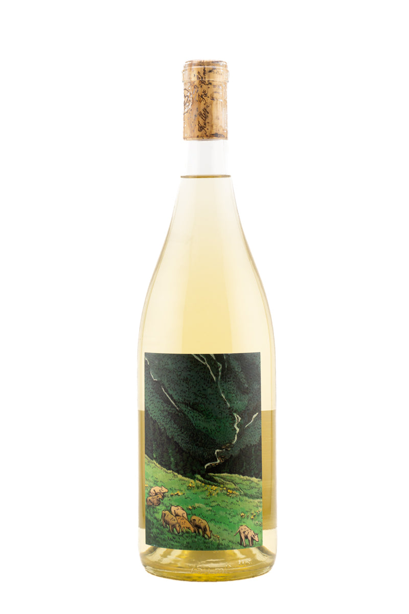 Kelley Fox Willamette Valley Gruner Veltliner 2024