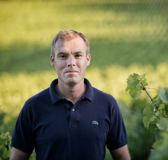 A tasting of Benjamin Leroux’s 2024 Burgundy Vintage
