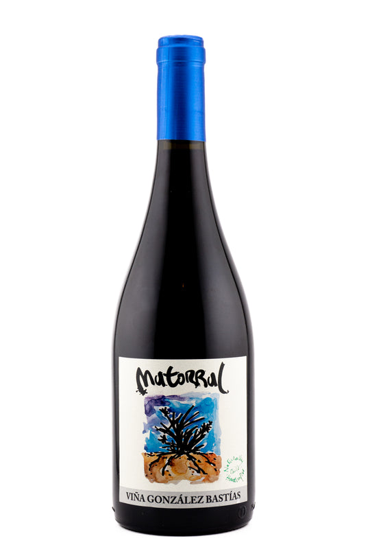 Vina Gonzalez Bastias Maule Valley Matorral 2019